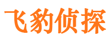 阿图什侦探公司